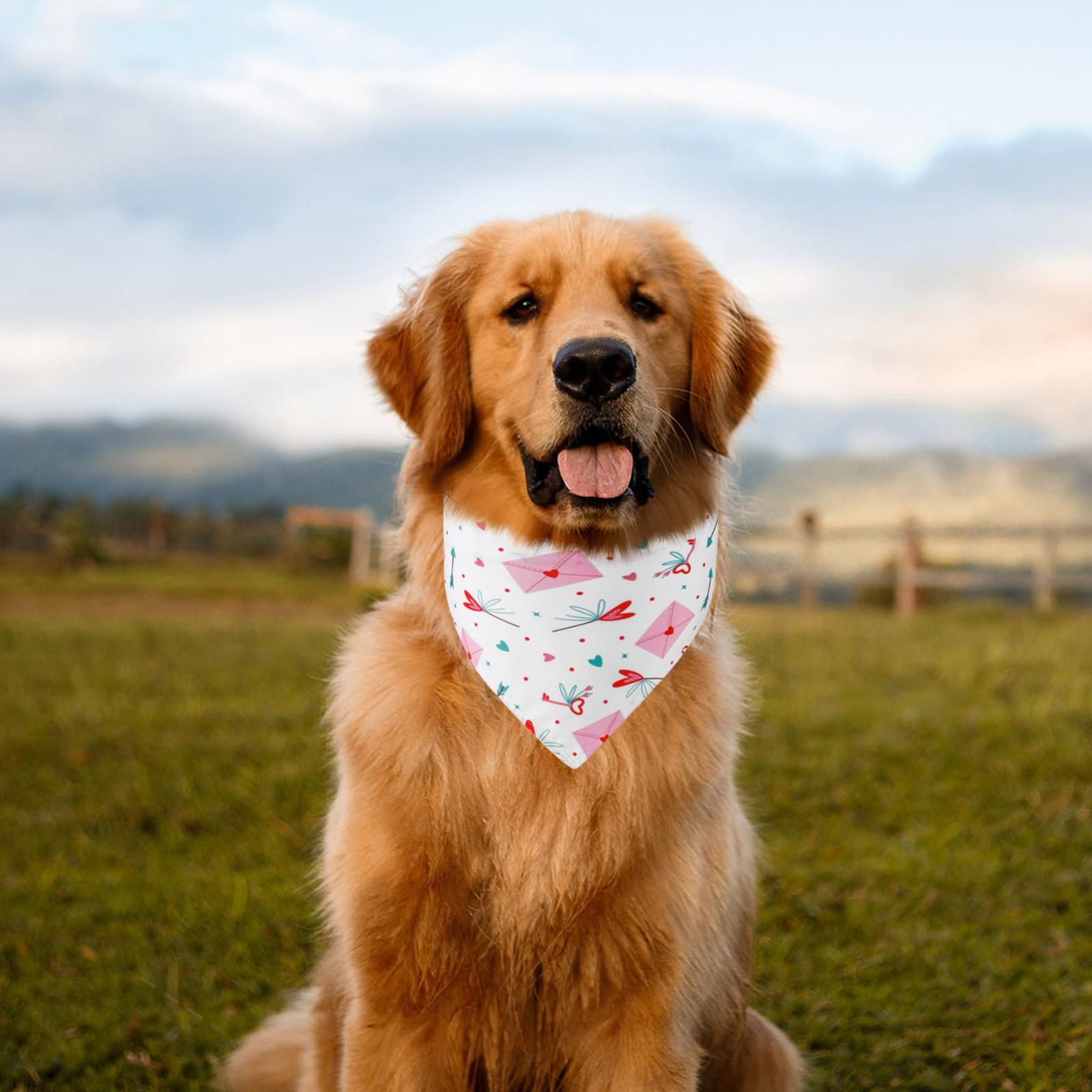 День Святого Валентина Одяг для домашніх тварин Love Pet Водний шарф Собачий шарф Аксесуари для домашніх тварин Шарф для собак One Size
День Святого Валентина Одяг для домашніх тварин Love Pet Водний шарф Собачий шарф Аксесуари для домашніх тварин Шарф для собак One Size