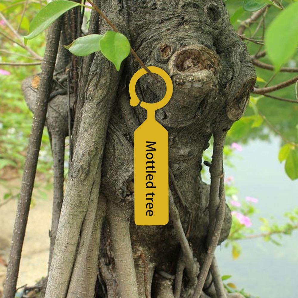 200PCS Plastic Plant Labels Lightweight Tree Labels Plant Tags Nursery and Seedling Identification жовтий
200PCS Plastic Plant Labels Lightweight Tree Labels Plant Tags Nursery and Seedling Identification жовтий