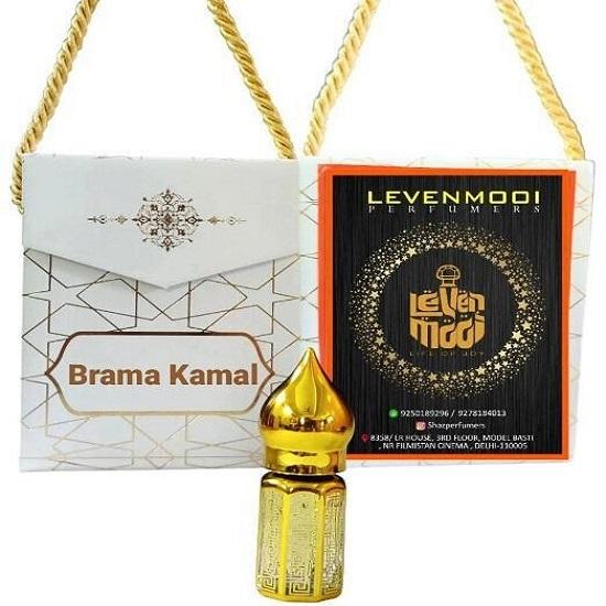 Levenmooi Brama Kamal Attar Suitable For Daily Uses Perfume Oil 6ml u374 SH 442
Levenmooi Brama Kamal Attar Suitable For Daily Uses Perfume Oil 6ml u374 SH 442