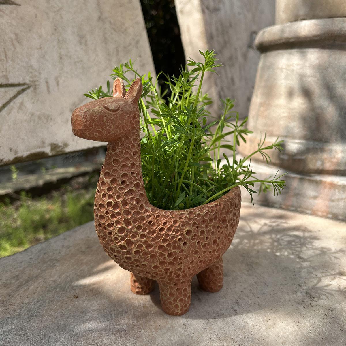 Милый олень в скандинавском стиле, статуэтка из смолы, уникальный цветочный горшок для суккулентов в виде животного
Милый олень в скандинавском стиле, статуэтка из смолы, уникальный цветочный горшок для суккулентов в виде животного