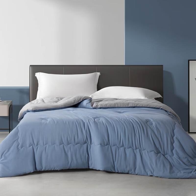 Donner Home Textiles Soft Cloud Quilt
Donner Home Textiles Soft Cloud Quilt