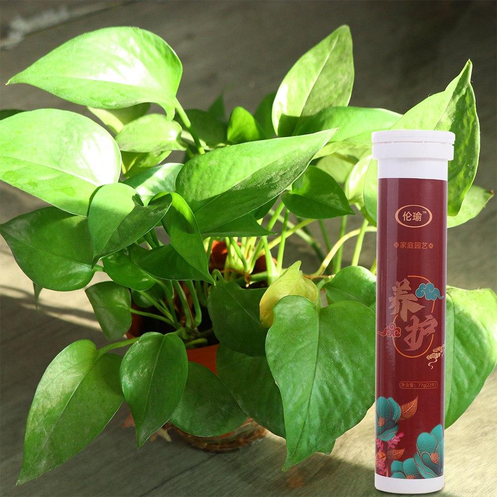 Universal Phosphorus Organic Fertilizer Speed Up Potassium Slow-Release Tablet Growth Plant Nutrition Tablets Plants Potted XXS
Universal Phosphorus Organic Fertilizer Speed Up Potassium Slow-Release Tablet Growth Plant Nutrition Tablets Plants Potted XXS