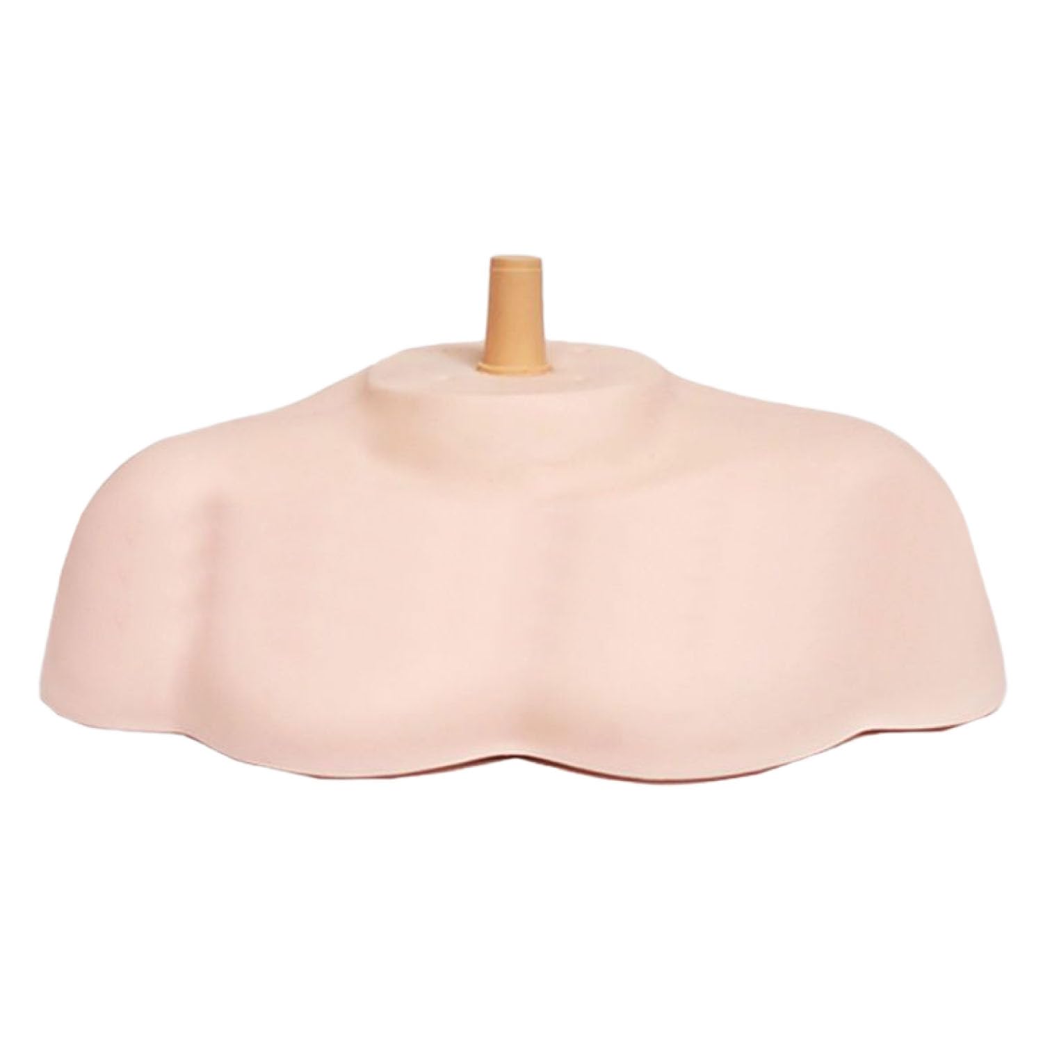 Archnote Mannequin Shoulder Wig Mannequin Torso Wig Mannequin Head Upper Body Practice
Archnote Mannequin Shoulder Wig Mannequin Torso Wig Mannequin Head Upper Body Practice