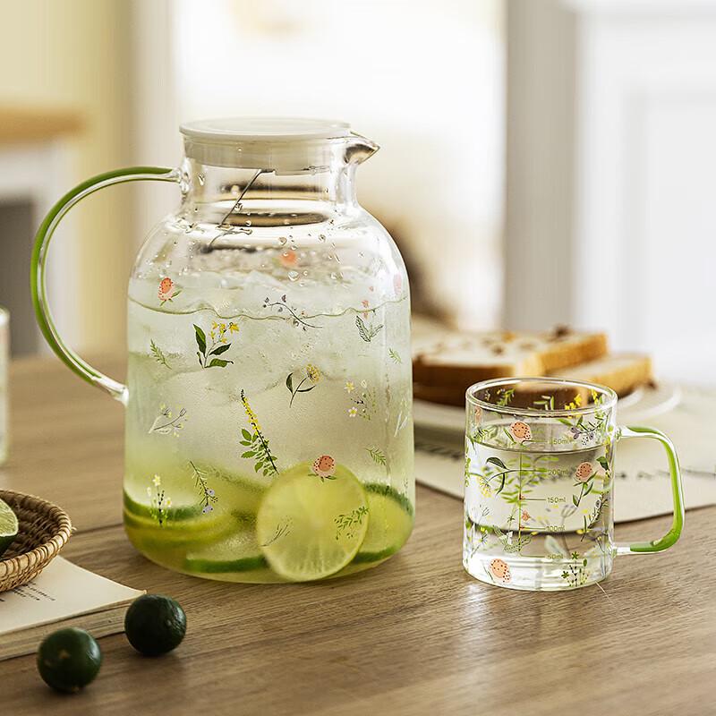 Modern Homemaker Nordic Glass Water Pitcher Set
Modern Homemaker Nordic Glass Water Pitcher Set
