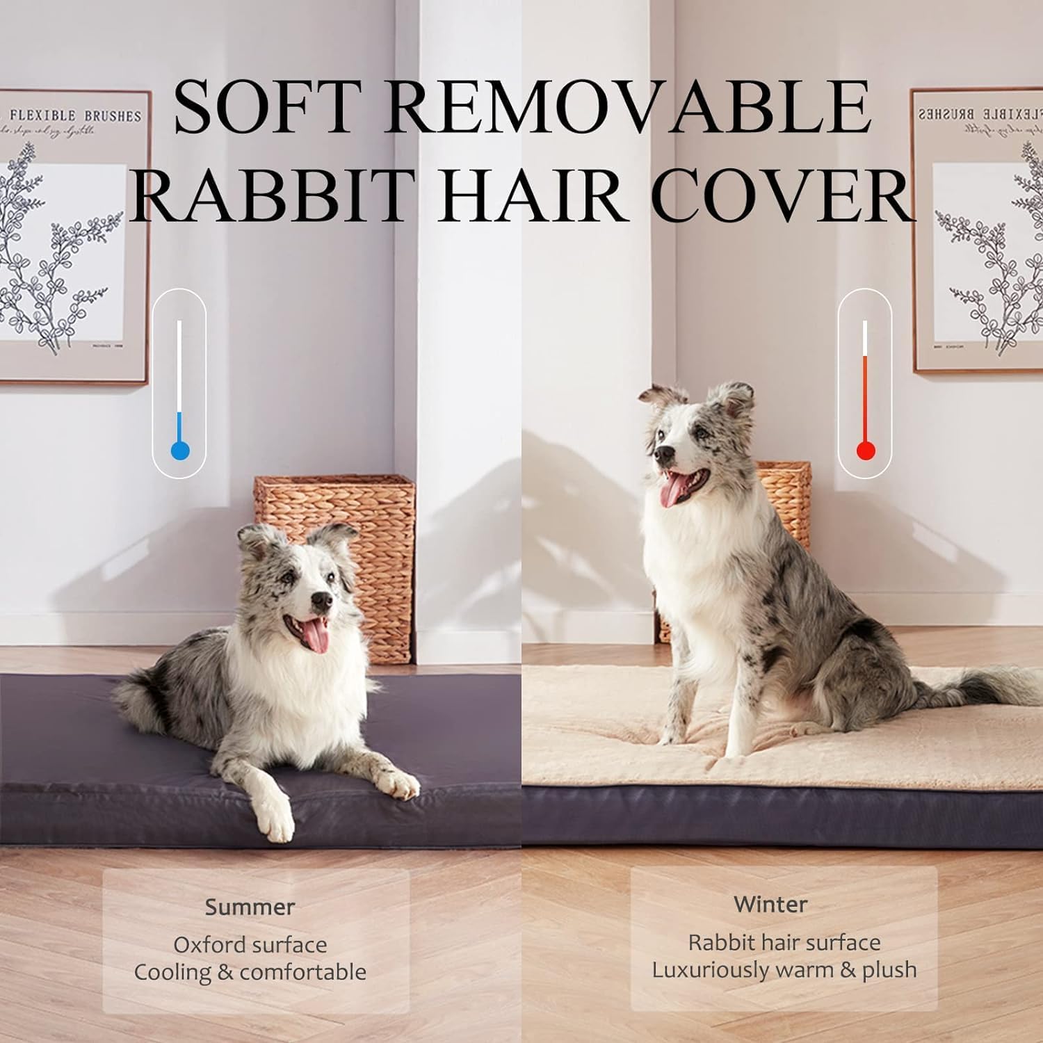 Dog Bed - Premium Comfort, Removable Washable Cover, Waterproof - Fits Small to Large Dogs - 30x20x3 in Rectangle
Dog Bed - Premium Comfort, Removable Washable Cover, Waterproof - Fits Small to Large Dogs - 30x20x3 in Rectangle