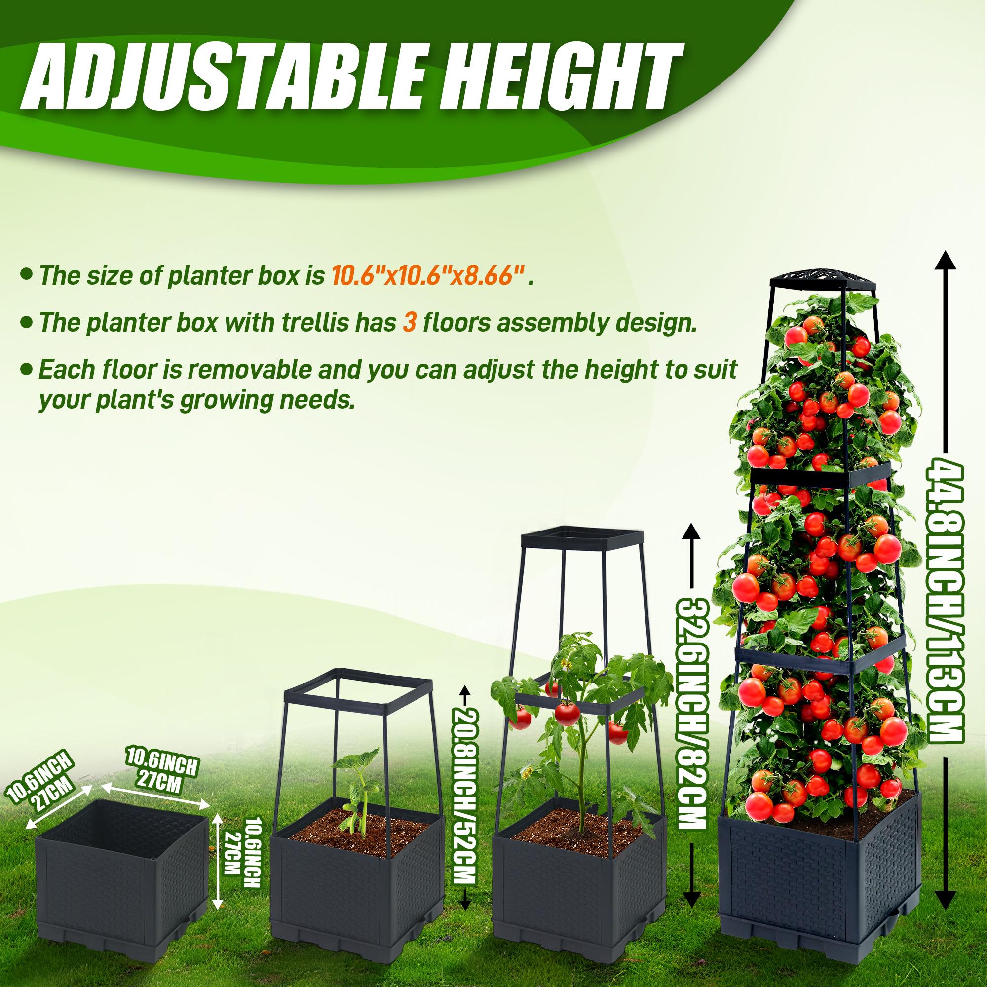 2pcs 44.8Inch Self-Watering Tomato Planter Box With Trellis, Trapezoidal Climbing Cage For Patio Garden Indoor Outdoor United States
2pcs 44.8Inch Self-Watering Tomato Planter Box With Trellis, Trapezoidal Climbing Cage For Patio Garden Indoor Outdoor United States