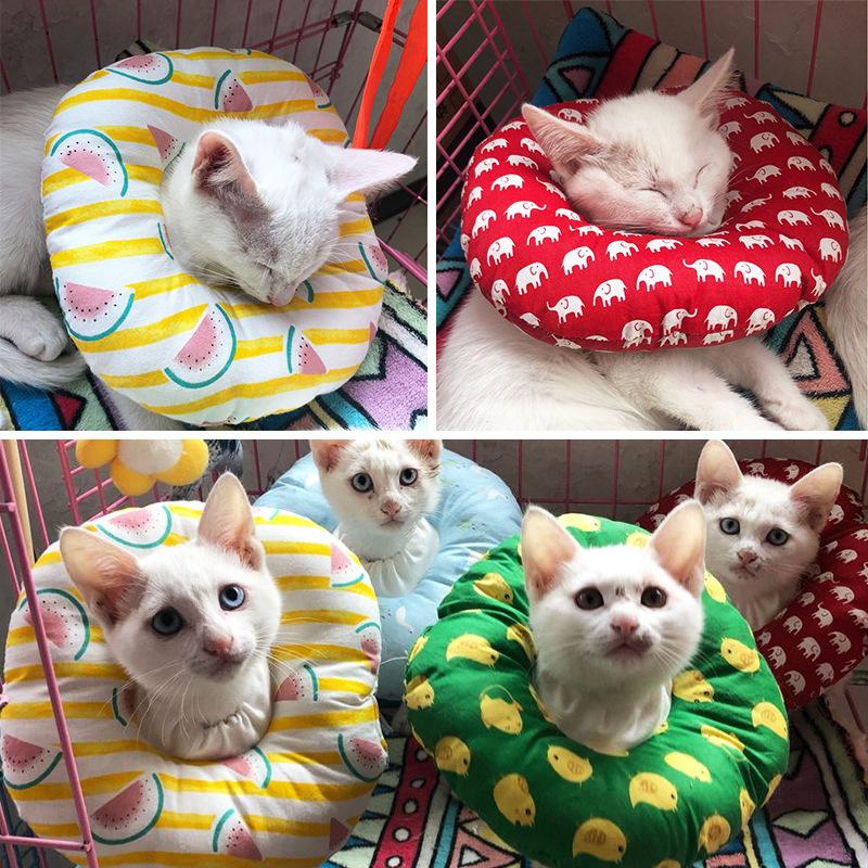 Товары для зоотоваров Поводок для домашних животных Ошейник для домашних животных Ошейник для собак и кошек Ошейник для домашних животных на открытом воздухе
Товары для зоотоваров Поводок для домашних животных Ошейник для домашних животных Ошейник для собак и кошек Ошейник для домашних животных на открытом воздухе