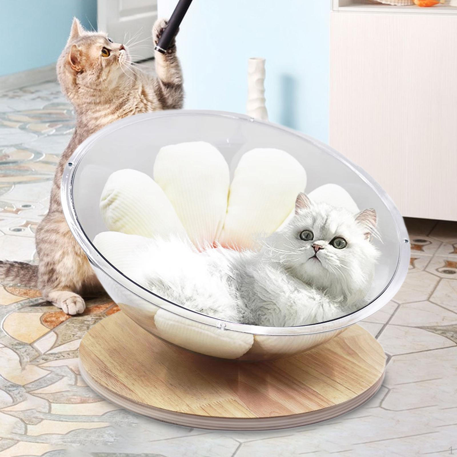 Кровать-капсула для мелких домашних животных - интерактивный игровой центр для котят 40cm
Кровать-капсула для мелких домашних животных - интерактивный игровой центр для котят 40cm