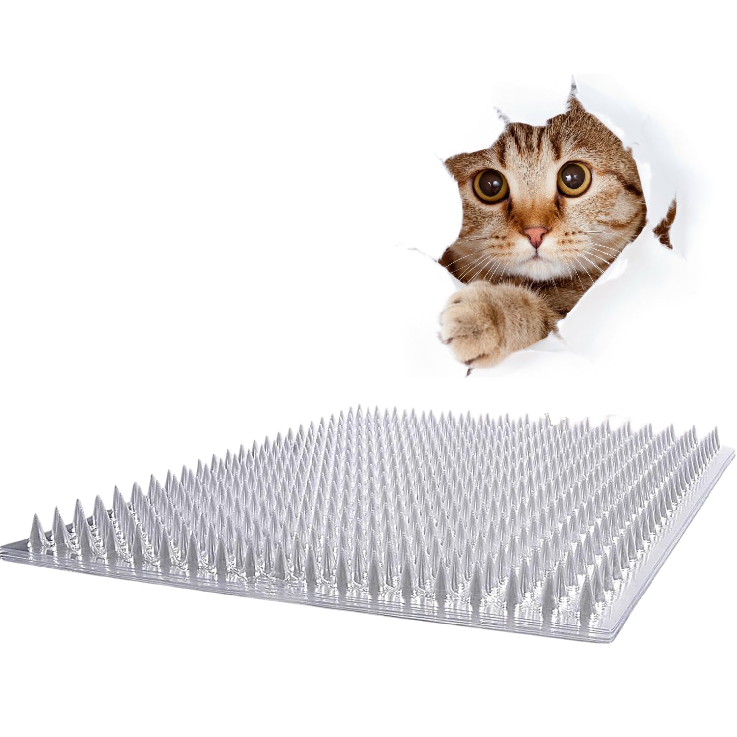 TIGHUG Cat Repellent 42 x 34 Set of Prevents Cats from Mischief Sheet, Transparent, cm, 10,
TIGHUG Cat Repellent 42 x 34 Set of Prevents Cats from Mischief Sheet, Transparent, cm, 10,