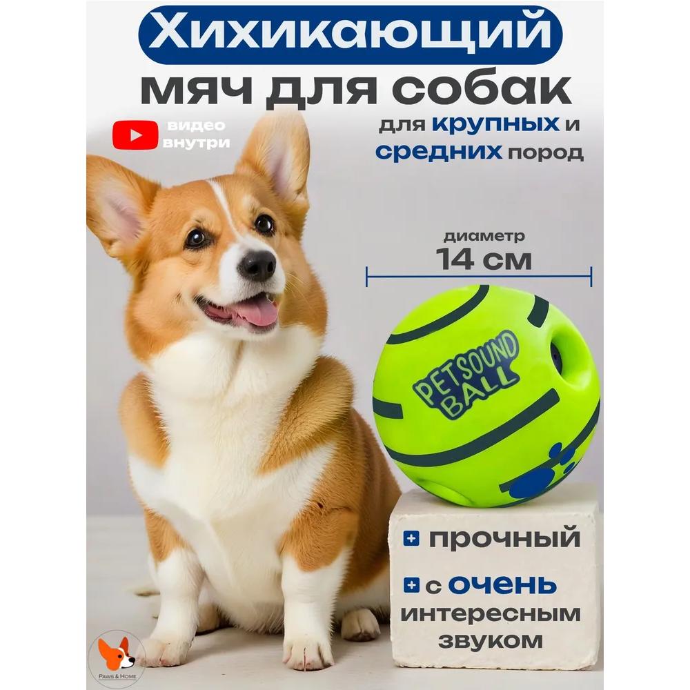 Dog s ball interactive lighter Option1
Dog s ball interactive lighter Option1