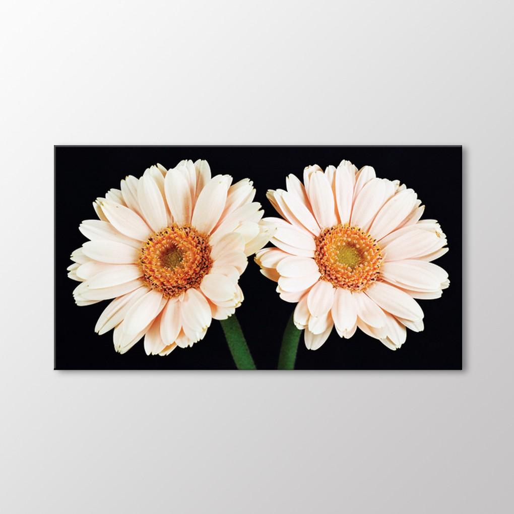 Картина Белые Хризантемы
Картина Белые Хризантемы