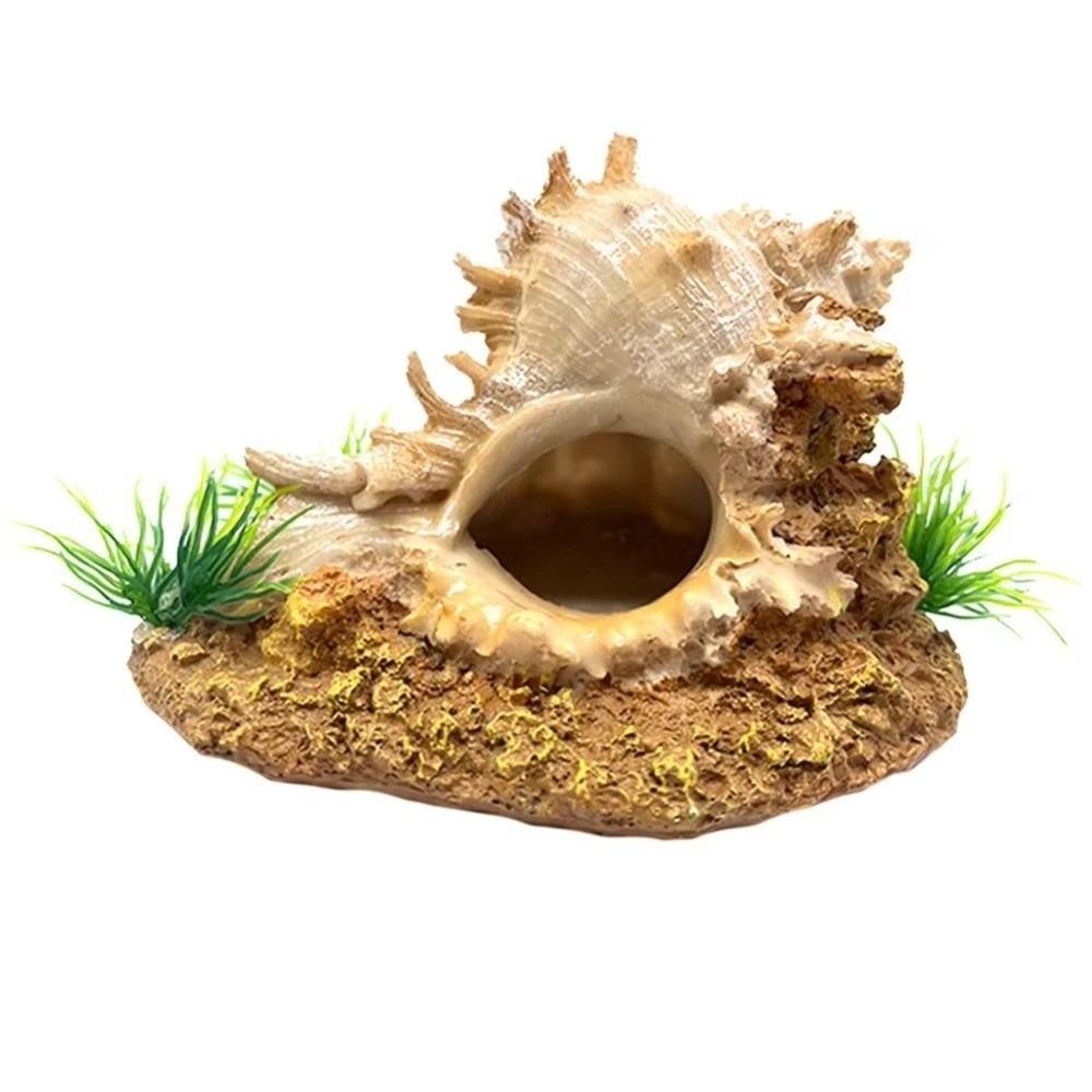 Conch Shape Fish Hideaway Cave Resin Fish Tank Ornaments Shrimp Hiding House Small Fish Tank Round Conch
Conch Shape Fish Hideaway Cave Resin Fish Tank Ornaments Shrimp Hiding House Small Fish Tank Round Conch