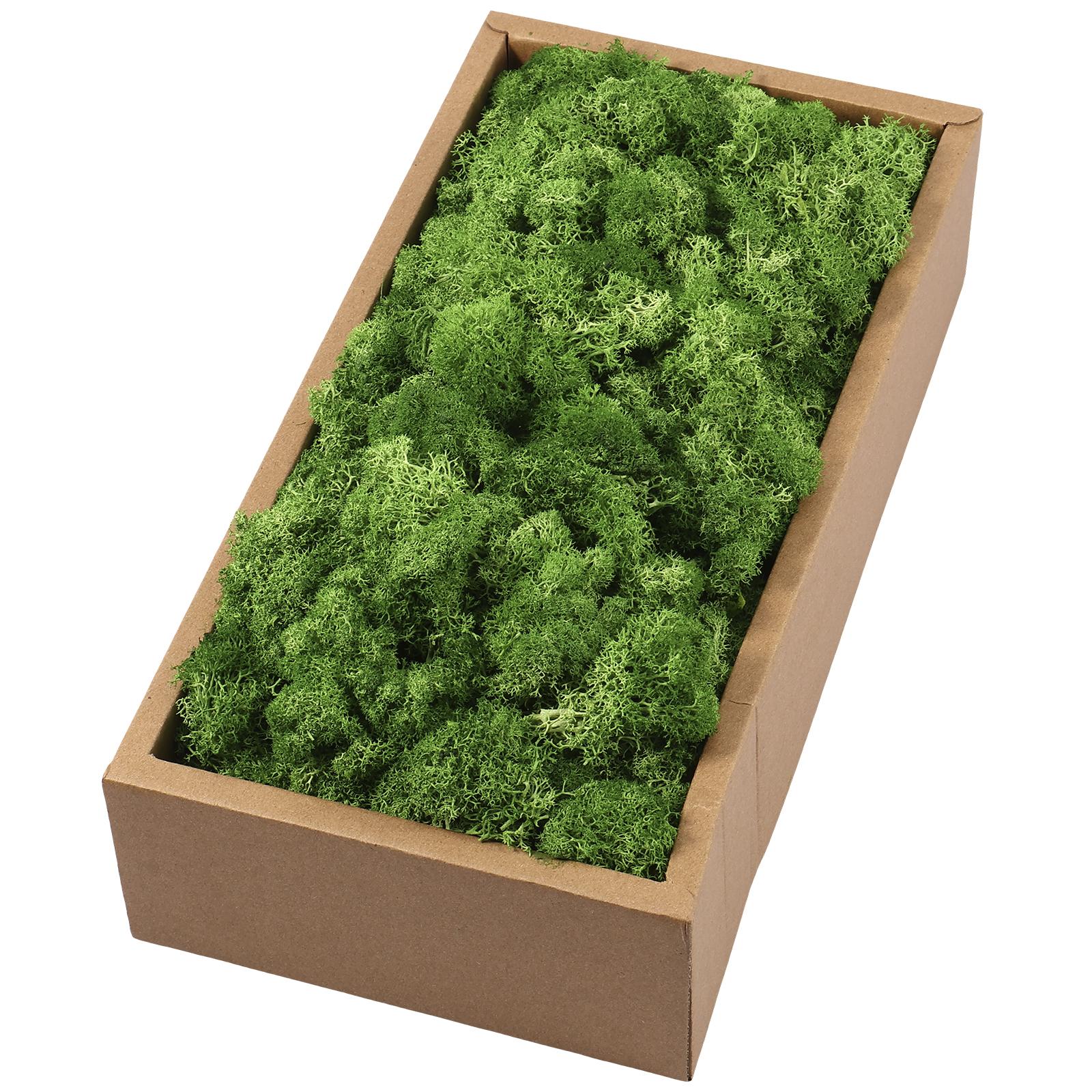 200g Artificial Moss Plant Fake Moss DIY Crafts Grass Potted Plants Green Moss DIY Home Room Wall Decor Mini Landscape Ornament 200g зелений
200g Artificial Moss Plant Fake Moss DIY Crafts Grass Potted Plants Green Moss DIY Home Room Wall Decor Mini Landscape Ornament 200g зелений