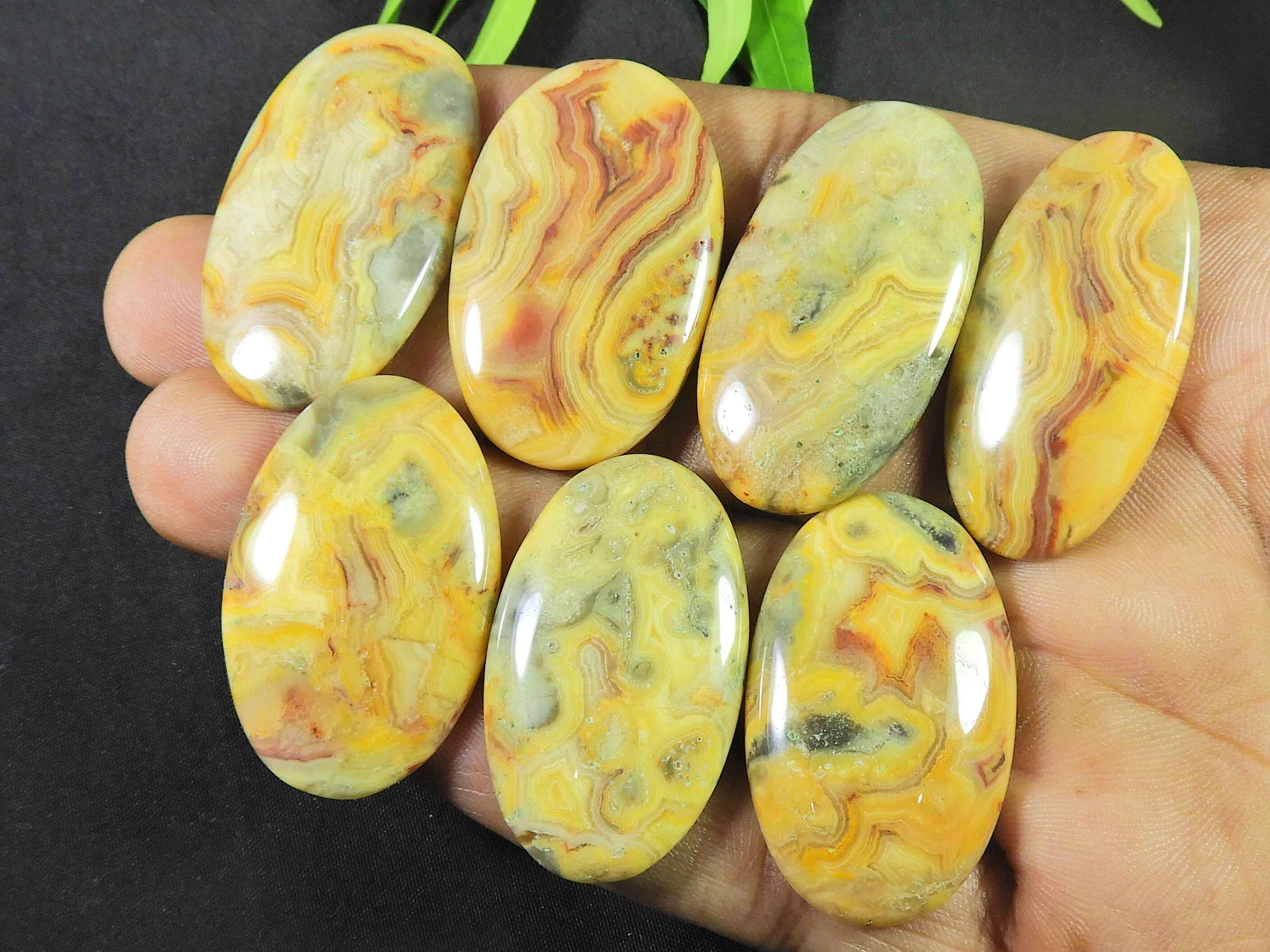 255Cts. Австралийский агат Crazy Lace Agate Oval Cabochon Jewel Stone 7 шт. Лот 36-39 мм RQ-2959
255Cts. Австралийский агат Crazy Lace Agate Oval Cabochon Jewel Stone 7 шт. Лот 36-39 мм RQ-2959
