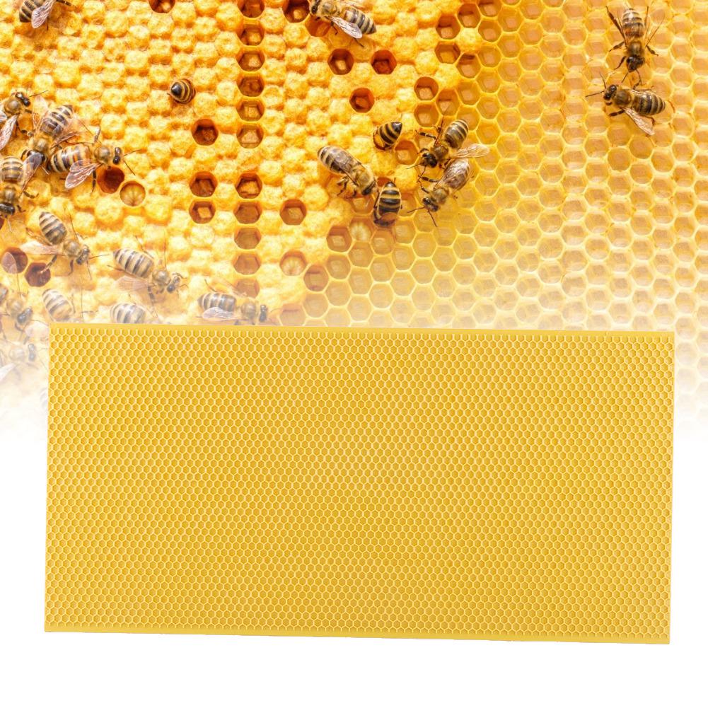 Пластикова рамка для бджільництва з вощиною Інструмент для бджільництва (Жовтий) жовтий
Пластикова рамка для бджільництва з вощиною Інструмент для бджільництва (Жовтий) жовтий