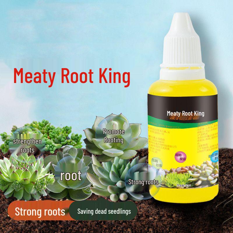 Fast-Acting Rooting Liquid Fertilizer for Succulent Growth
Fast-Acting Rooting Liquid Fertilizer for Succulent Growth