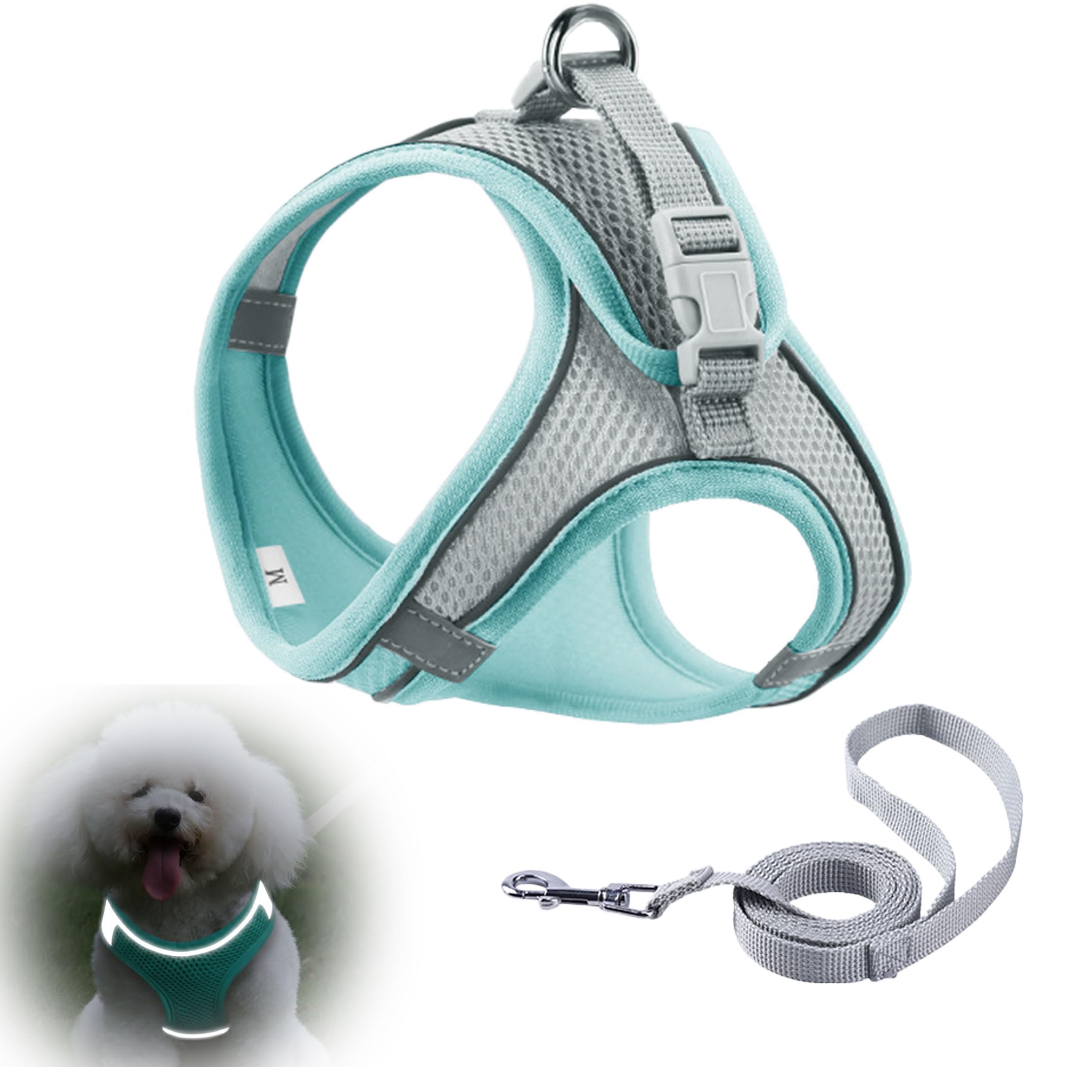 Inu no Kurashi Dog Harness and Leash Set for Small for Safe Available in 2 Sizes and 3 Colors Dogs, Adjustable, Fluorescent, Reflective, Nighttime,
Inu no Kurashi Dog Harness and Leash Set for Small for Safe Available in 2 Sizes and 3 Colors Dogs, Adjustable, Fluorescent, Reflective, Nighttime,