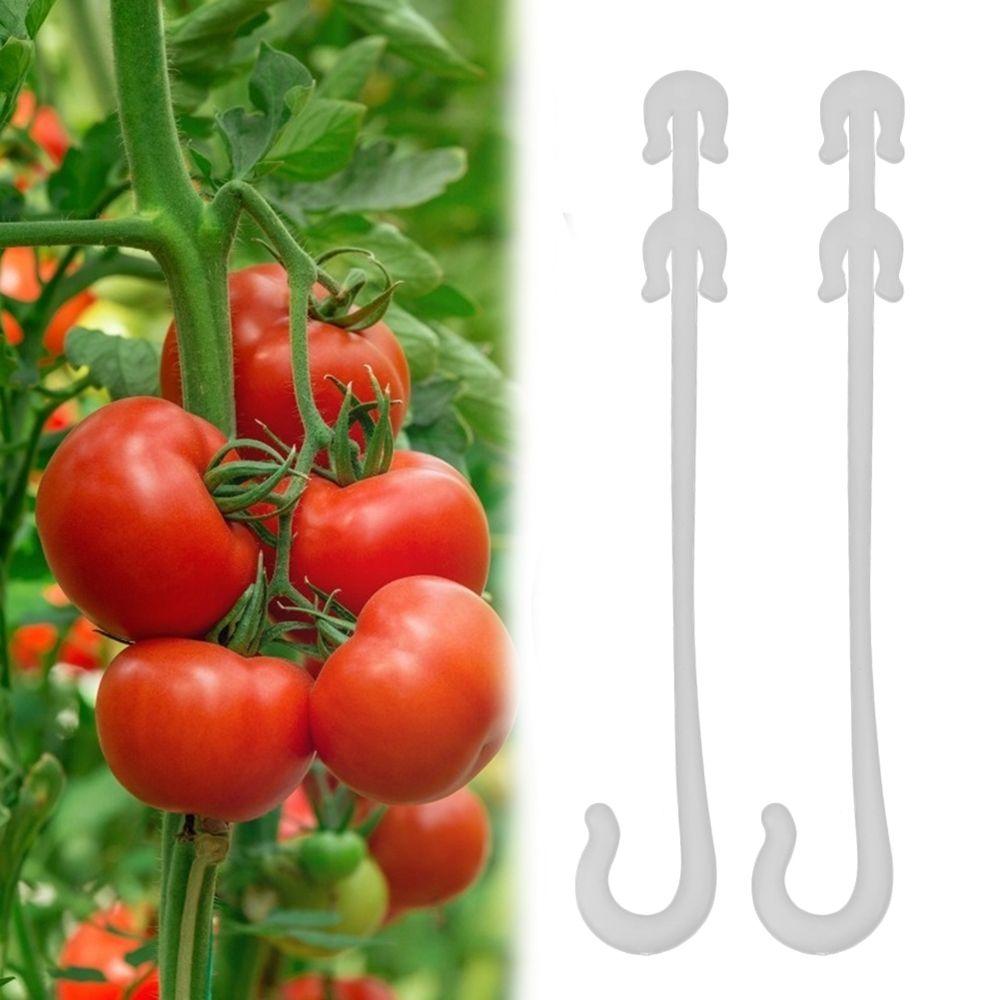 Support Fruit Hook Vines Pull Hook Garden Tools Plant Hook Fastener Clips Tomato Ear Hook білий
Support Fruit Hook Vines Pull Hook Garden Tools Plant Hook Fastener Clips Tomato Ear Hook білий