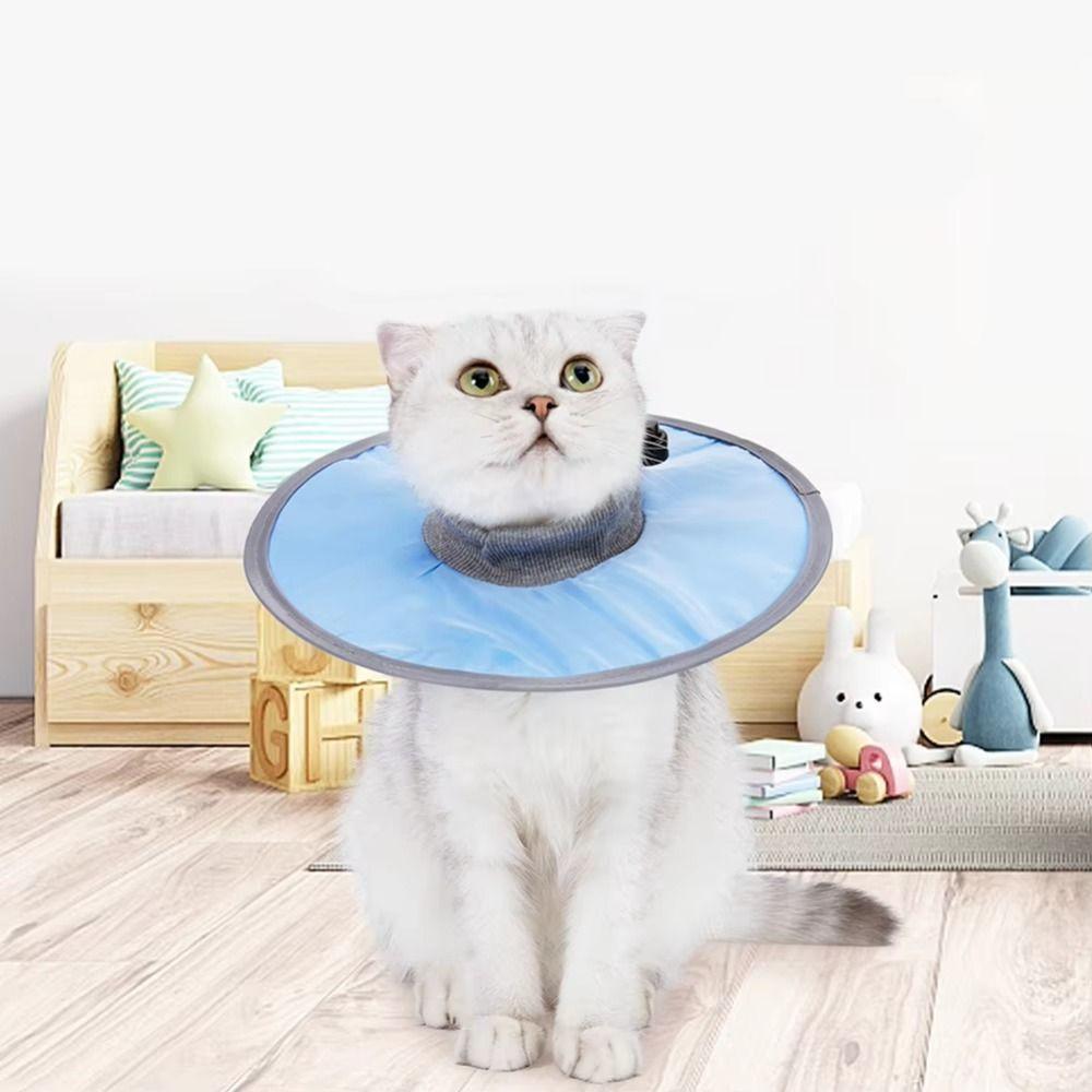 Adjustable Cat Anti-licking Circle Protective Pet Recovery Cone Pet Cone Collar for Wound Heal L синій
Adjustable Cat Anti-licking Circle Protective Pet Recovery Cone Pet Cone Collar for Wound Heal L синій