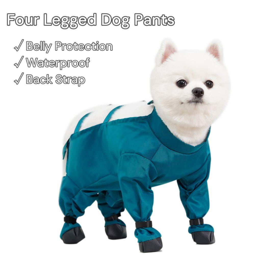 Breathable Four Legged Dog Pants Waterproof Dog Paw Protectors for Small Medium Dogs M peacock синього кольору
Breathable Four Legged Dog Pants Waterproof Dog Paw Protectors for Small Medium Dogs M peacock синього кольору