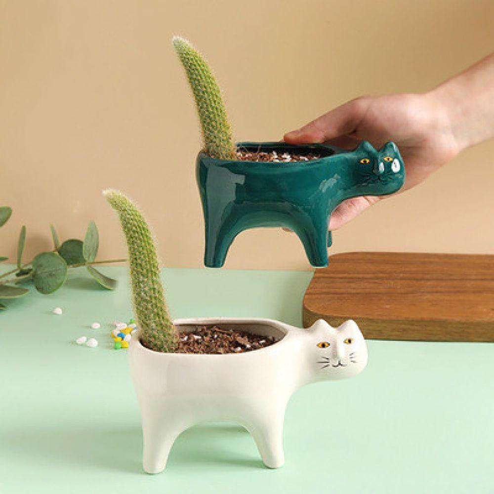 Potted Cactus Plants Balcony Home Decor Flower Pot Plant Container Tabletop Ornaments Plant Pot
Potted Cactus Plants Balcony Home Decor Flower Pot Plant Container Tabletop Ornaments Plant Pot