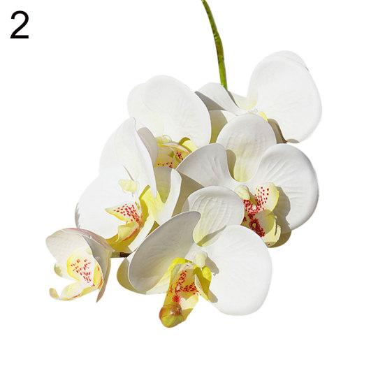 1шт искусственный цветок бабочка орхидея гибкий сад DIY партия свадебный декор белый
1шт искусственный цветок бабочка орхидея гибкий сад DIY партия свадебный декор белый