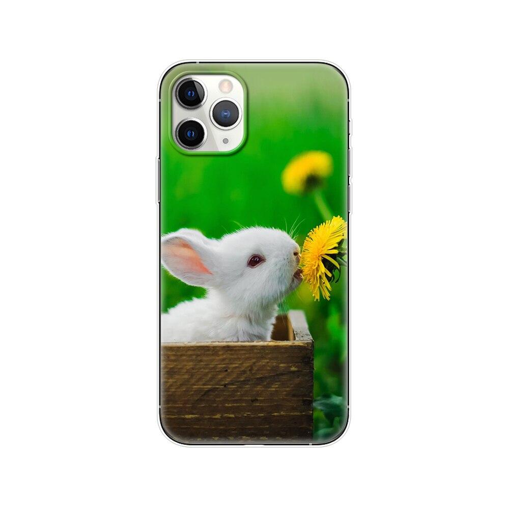 Чохол для iphone 11м які чохли для iphone 11 pro max eleven силіконовий coque etui бампер чохол для задньої панелі телефону повний 360 захисний iphone 11pro max
Чохол для iphone 11м які чохли для iphone 11 pro max eleven силіконовий coque etui бампер чохол для задньої панелі телефону повний 360 захисний iphone 11pro max