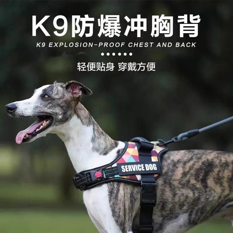 K9 нагрудный жилет для собак, буксировочная веревка для прогулок с собаками, взрывозащищенная прогулочная веревка для собак с золотыми волосами, бордер-колли
K9 нагрудный жилет для собак, буксировочная веревка для прогулок с собаками, взрывозащищенная прогулочная веревка для собак с золотыми волосами, бордер-колли