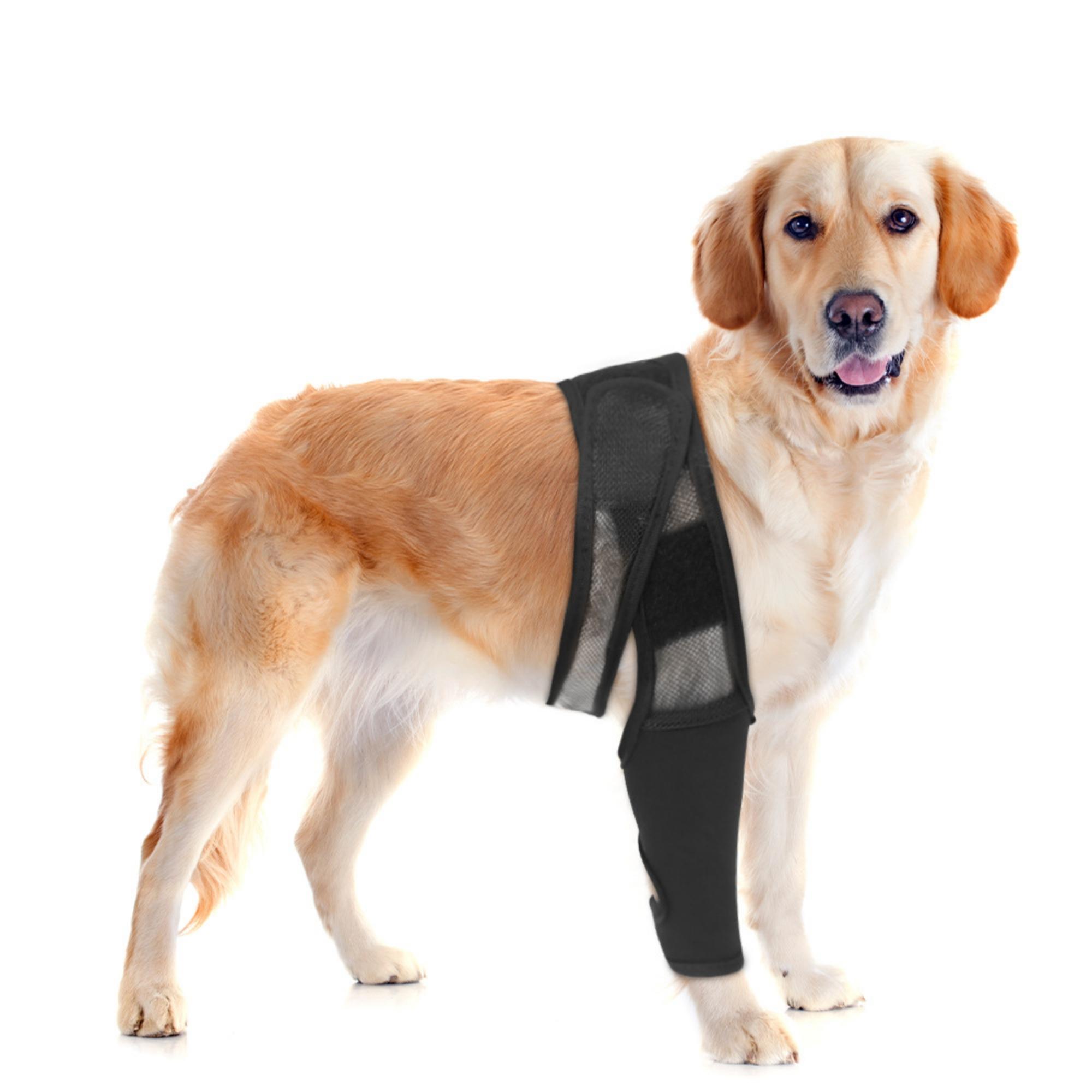Pet Dog Knee Brace Rear Leg Support for Joint Pain Muscle Sore Elderly Disabled Injured Dogs Leg Bracer for Mobility Aid S чёрный
Pet Dog Knee Brace Rear Leg Support for Joint Pain Muscle Sore Elderly Disabled Injured Dogs Leg Bracer for Mobility Aid S чёрный
