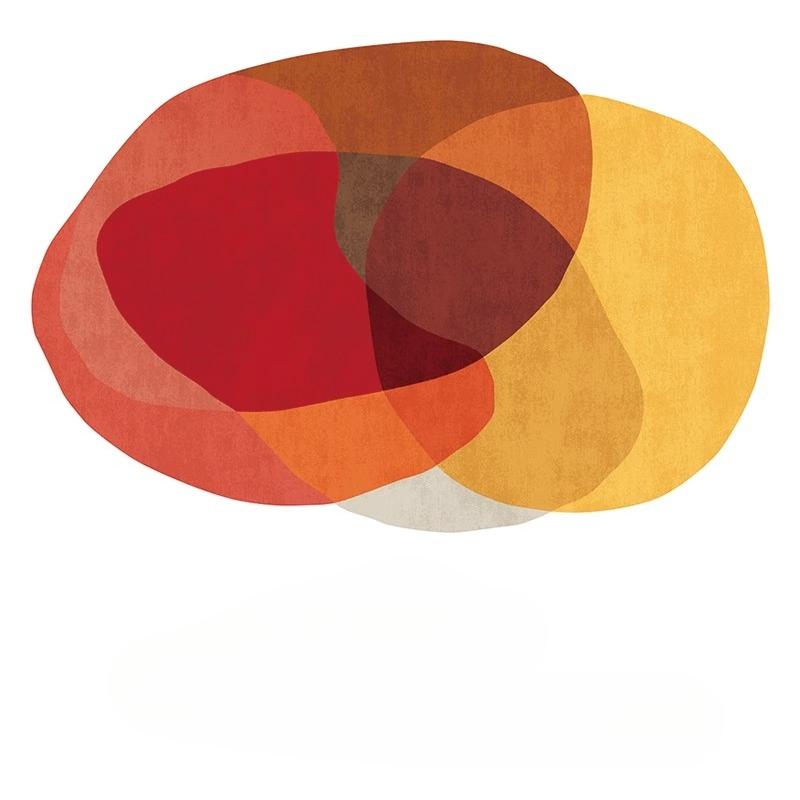 Ковер для украшения гостиной неправильной формы Ковры в скандинавском стиле для спальни Толстый плюшевый коврик для пола в гостиной Пушистый мягкий ковер для кабинета 80x120cm
Ковер для украшения гостиной неправильной формы Ковры в скандинавском стиле для спальни Толстый плюшевый коврик для пола в гостиной Пушистый мягкий ковер для кабинета 80x120cm