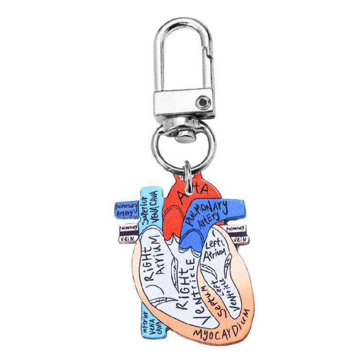 Portable Heart Schematic Keychain Charm Educational Keychain Featuring Heart Diagram for Students and Healthcare Workers
Portable Heart Schematic Keychain Charm Educational Keychain Featuring Heart Diagram for Students and Healthcare Workers
