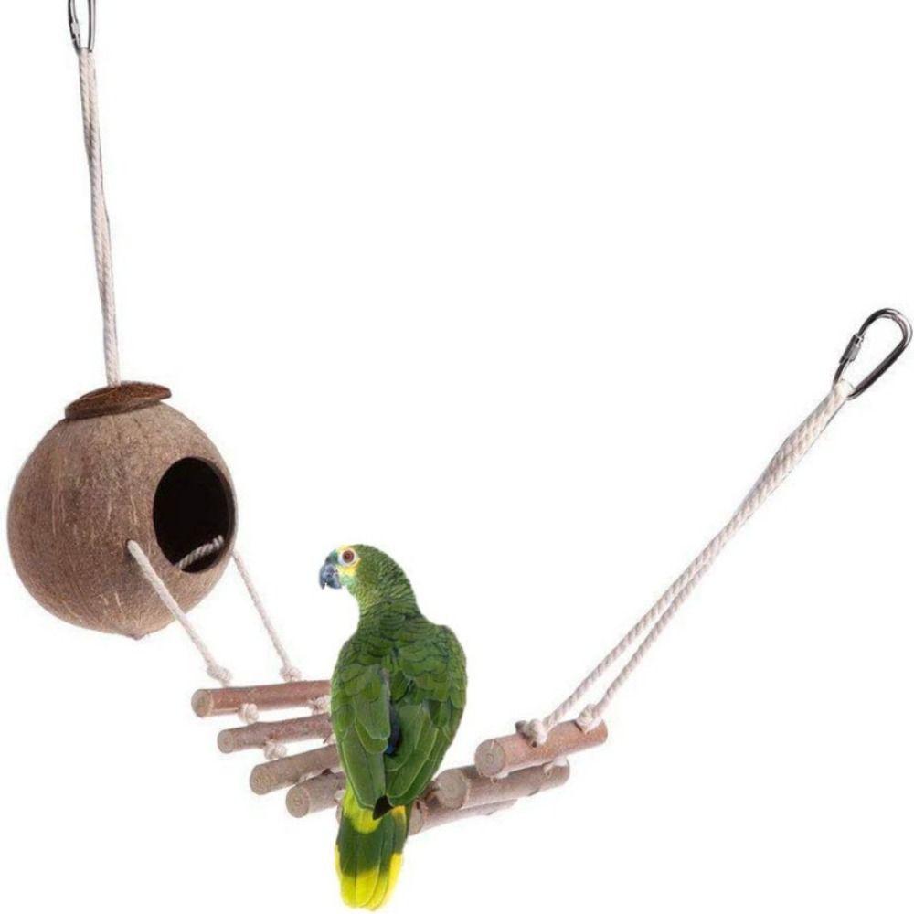 Creative Coconut Shell Bite-resistant Parrot Parakeet Toy Parrot Nest Bird Accessories Lizard House
Creative Coconut Shell Bite-resistant Parrot Parakeet Toy Parrot Nest Bird Accessories Lizard House