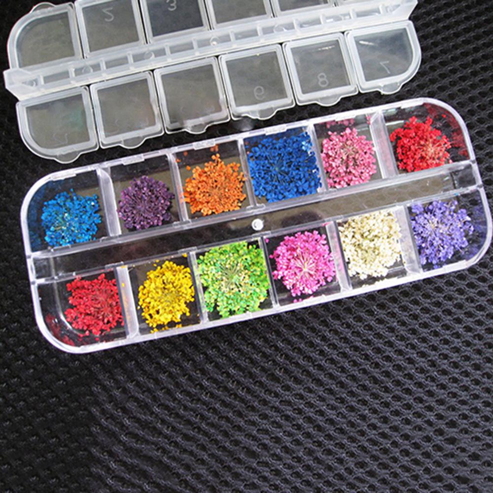 Знаменитые красивые женские цвета, настоящие сухие для УФ-сушеного цветочного геля, акриловые украшения, 3D советы по дизайну ногтей
Знаменитые красивые женские цвета, настоящие сухие для УФ-сушеного цветочного геля, акриловые украшения, 3D советы по дизайну ногтей