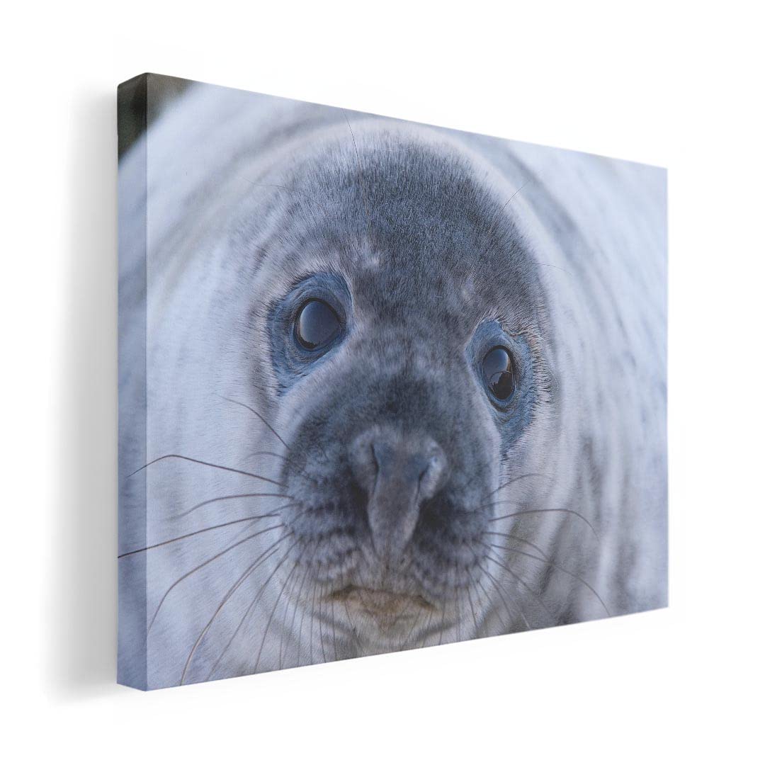 Art 420mm x Wall Wooden Stylish Interior Animal Panel, Painting, Decoration, igsticker, 297mm, A3, Photo, Hanging, Frame, Decor, 023781, Seal,
Art 420mm x Wall Wooden Stylish Interior Animal Panel, Painting, Decoration, igsticker, 297mm, A3, Photo, Hanging, Frame, Decor, 023781, Seal,