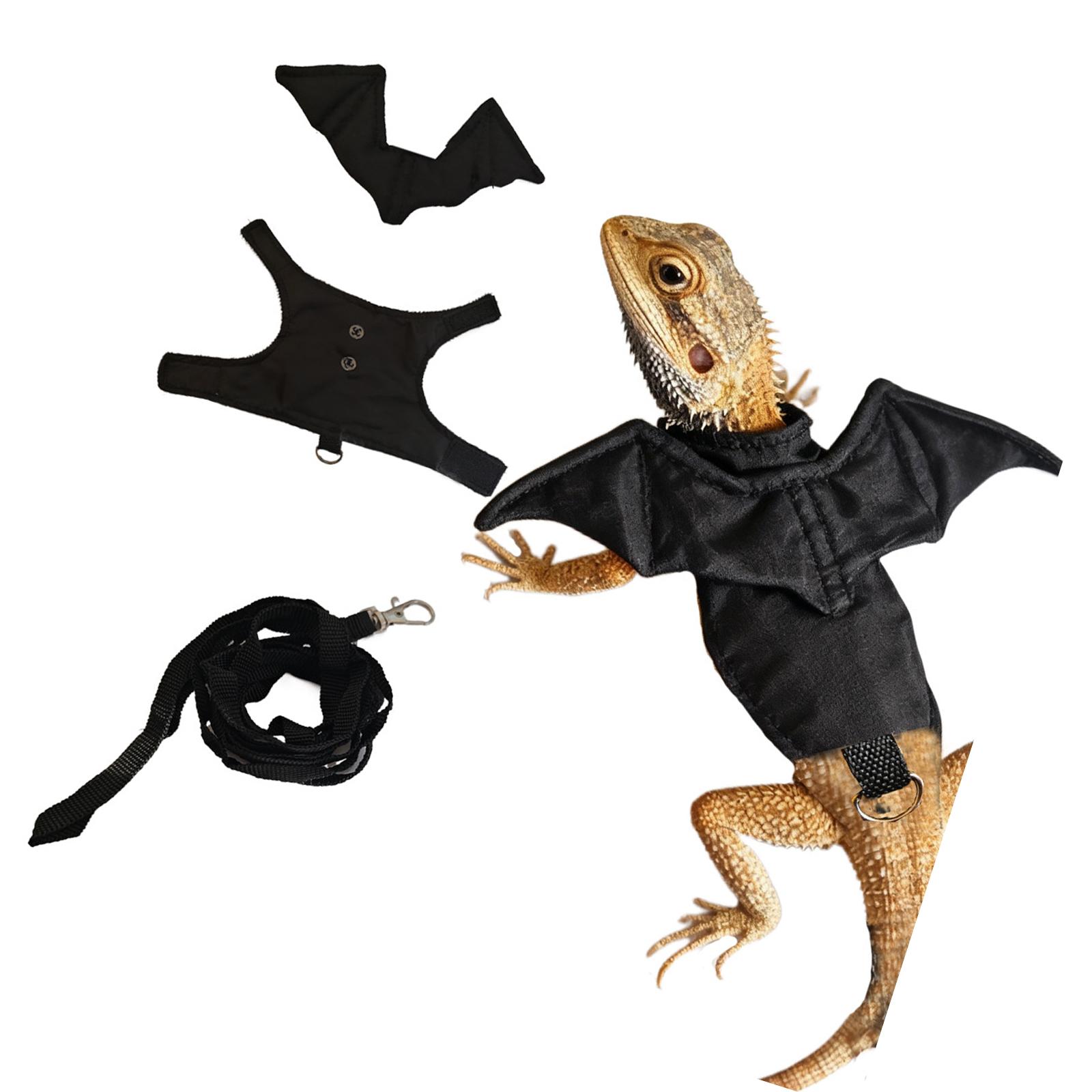 Reptiles Leashes Harnesses Dragon Vest Soft Padding Hook & Rings Closures for Geckos Hamsters Tortoises чорний
Reptiles Leashes Harnesses Dragon Vest Soft Padding Hook & Rings Closures for Geckos Hamsters Tortoises чорний