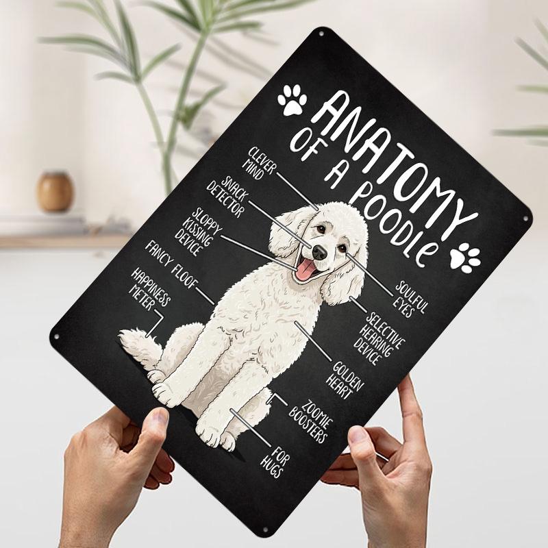 Funny Anatomy of a Poodle Poster Customized Wall Art Vintage Metal Signs Retro Tin Plaque for Man Cave Room Decor Men Coffee Bar 7.9x11.8In(20x30cm)
Funny Anatomy of a Poodle Poster Customized Wall Art Vintage Metal Signs Retro Tin Plaque for Man Cave Room Decor Men Coffee Bar 7.9x11.8In(20x30cm)