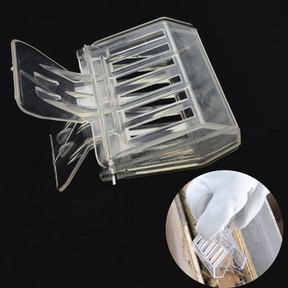 5PCS Durable Beehive Plastic Box Queen Bee Cages Clip Beekeeping Clips Insect Catcher No-hurt
5PCS Durable Beehive Plastic Box Queen Bee Cages Clip Beekeeping Clips Insect Catcher No-hurt