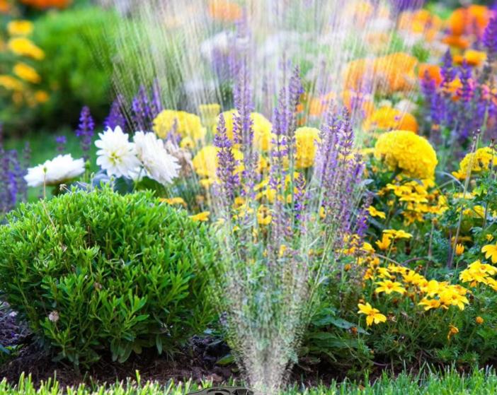 Дощувач для газону Регульований коливний дощувач для газону Розпилювач Регульована система поливу з 9 режимами 360 градусів CN
Дощувач для газону Регульований коливний дощувач для газону Розпилювач Регульована система поливу з 9 режимами 360 градусів CN