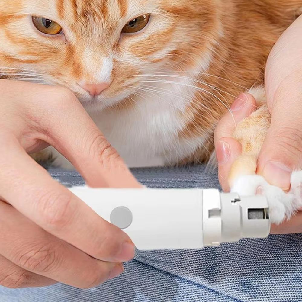 Super Quiet Electric Dog Nail Grinder with LED Pet Nail Clipper Small Medium Puppy кавовий
Super Quiet Electric Dog Nail Grinder with LED Pet Nail Clipper Small Medium Puppy кавовий