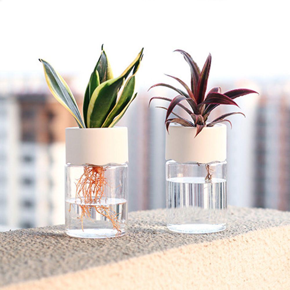 Shape Home Decoration Water Planting Pot Plastic Vase Flower Arrangement Hydroponic Plant Vase
Shape Home Decoration Water Planting Pot Plastic Vase Flower Arrangement Hydroponic Plant Vase