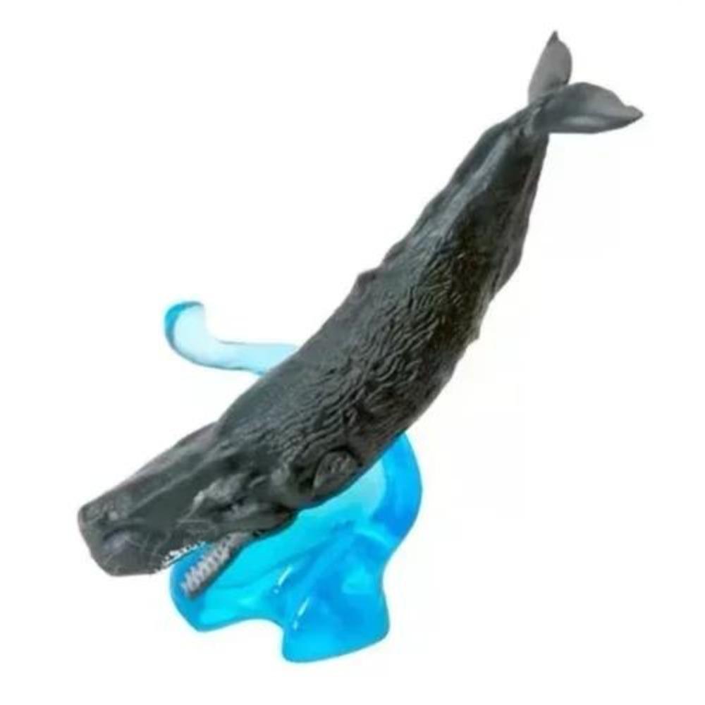 Genuine Gacha Scale Model Marine Organism Dolphin Killer Whale Humpback Sperm Whale Action Figure Playthings great for daily use
Genuine Gacha Scale Model Marine Organism Dolphin Killer Whale Humpback Sperm Whale Action Figure Playthings great for daily use
