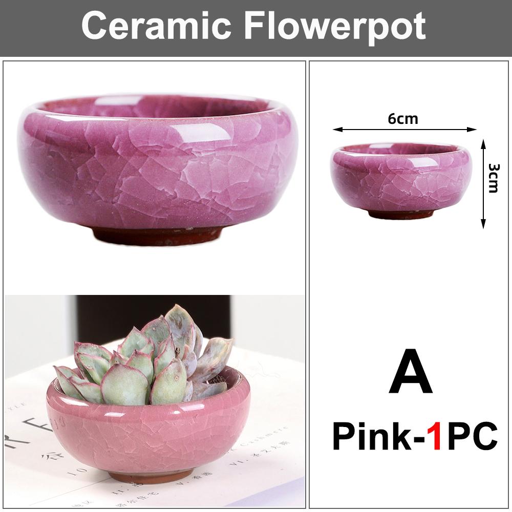 Бонсай Мини Керамический Цветочный Горшок Милый Суккулентный Цветочный Посадочный Горшок Офисный Рабочий Стол Украшения Для Сада Двора Гостиной Балкона
Бонсай Мини Керамический Цветочный Горшок Милый Суккулентный Цветочный Посадочный Горшок Офисный Рабочий Стол Украшения Для Сада Двора Гостиной Балкона