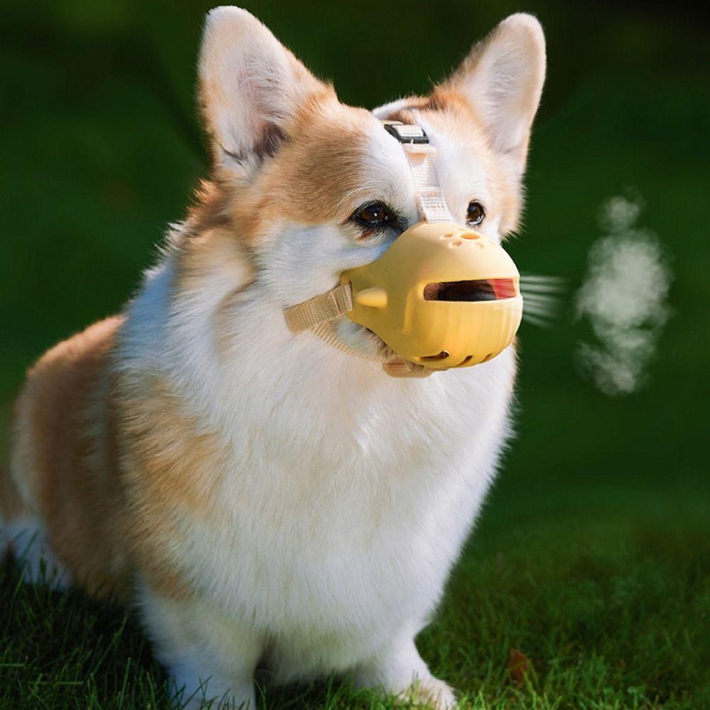 Adjustable Anti-Barking Dog Muzzle Breathable Dog Mouth Cover for Bite Prevention M зелёный
Adjustable Anti-Barking Dog Muzzle Breathable Dog Mouth Cover for Bite Prevention M зелёный