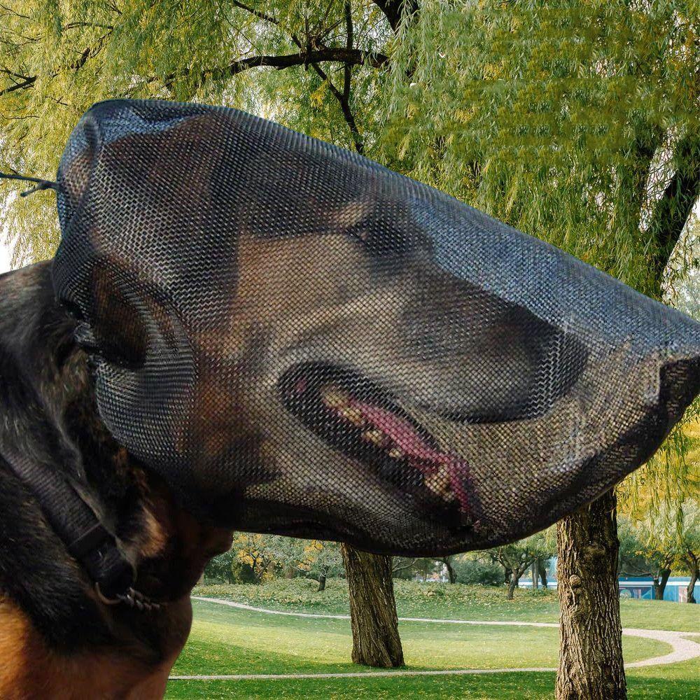 Mesh Pet Protective Veil Breathable Pet Facial Protection Mask Dog Protective Mask Pet Protection XS чёрный
Mesh Pet Protective Veil Breathable Pet Facial Protection Mask Dog Protective Mask Pet Protection XS чёрный