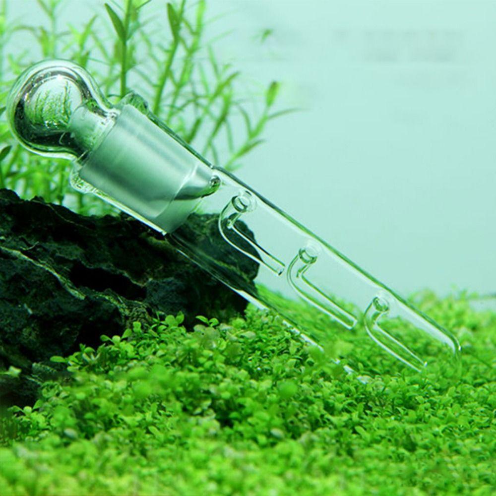 Красные креветки Карликовые креветки Прозрачное стекло Аквариум Ловушка для червей Ловушка для пиявок Ловушка для планарий Ловушка для вредителей 
Красные креветки Карликовые креветки Прозрачное стекло Аквариум Ловушка для червей Ловушка для пиявок Ловушка для планарий Ловушка для вредителей