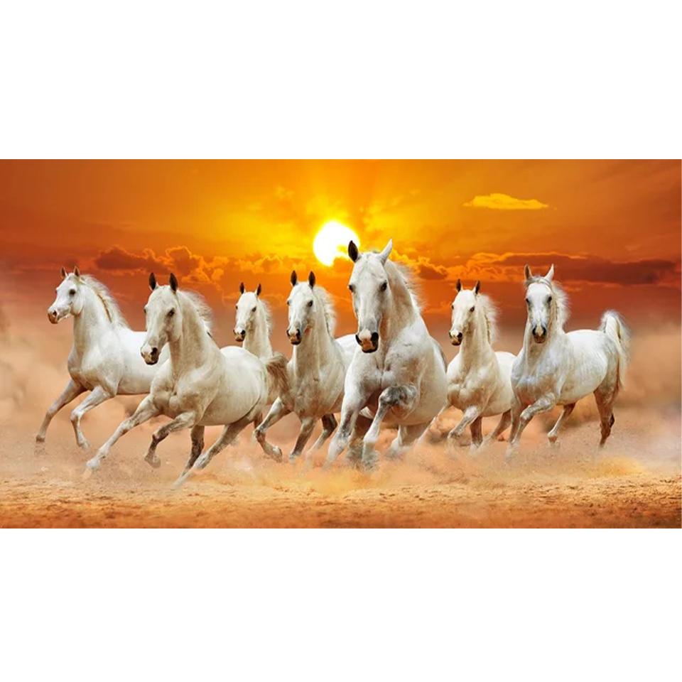 5DDIY Алмазная картина Белая бегущая лошадь Алмазная картина Мозаика с изображением животных Вышивка крестом Настенная живопись Украшение для дома Full Round 40x80CM
5DDIY Алмазная картина Белая бегущая лошадь Алмазная картина Мозаика с изображением животных Вышивка крестом Настенная живопись Украшение для дома Full Round 40x80CM