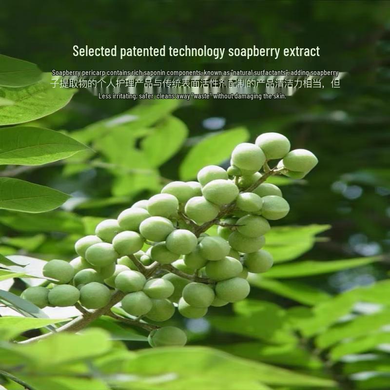 Shuixian Yabao Soapberry Smoothing Shampoo
Shuixian Yabao Soapberry Smoothing Shampoo