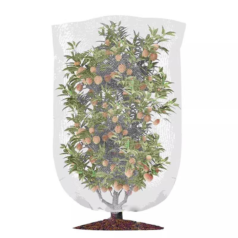 Fruit Tree Pest Control Net Bird Proof Cover Bag Zippered Blueberries Balcony Tomatoes Fruit Fly Mosquito Control Transparent 0.5x0.5m 5pcs
Fruit Tree Pest Control Net Bird Proof Cover Bag Zippered Blueberries Balcony Tomatoes Fruit Fly Mosquito Control Transparent 0.5x0.5m 5pcs