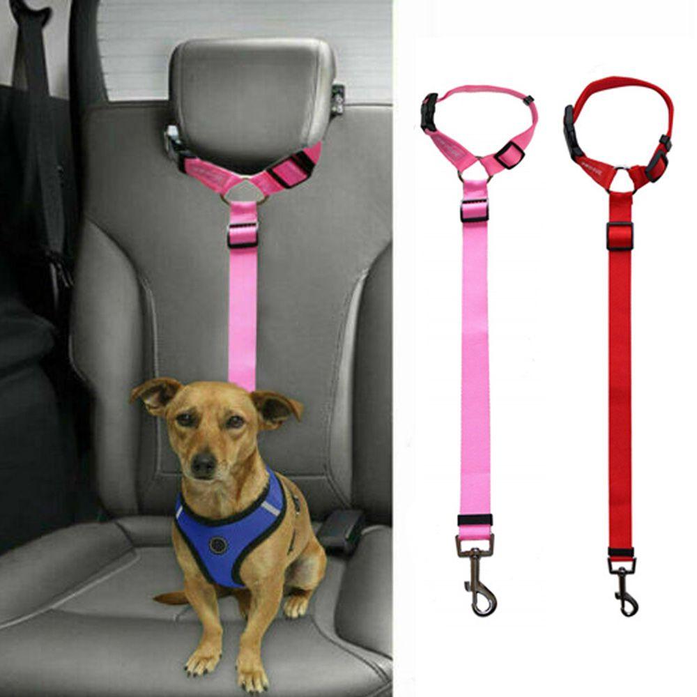 Supplies Puppy Dog Car Seat Belt Safety Harnesses Lead Restraint Harnesses Travel Restraint For Dog
Supplies Puppy Dog Car Seat Belt Safety Harnesses Lead Restraint Harnesses Travel Restraint For Dog