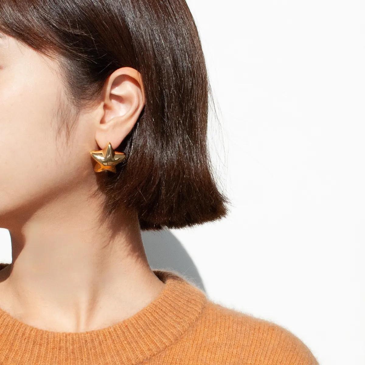 18k Gold Chubby Star Earrings - European & American Influencer Style Titanium Steel
18k Gold Chubby Star Earrings - European & American Influencer Style Titanium Steel